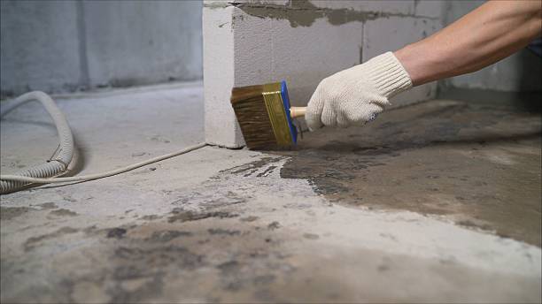 24/7 Emergency Basement Waterproofing experts in Jacksons Gap, AL